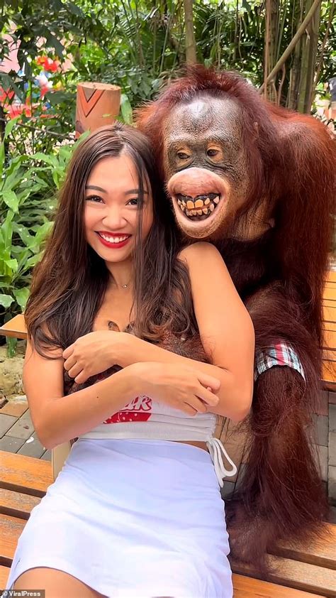 orangutan tits|Orangutan flashes grin while groping womans breasts at。